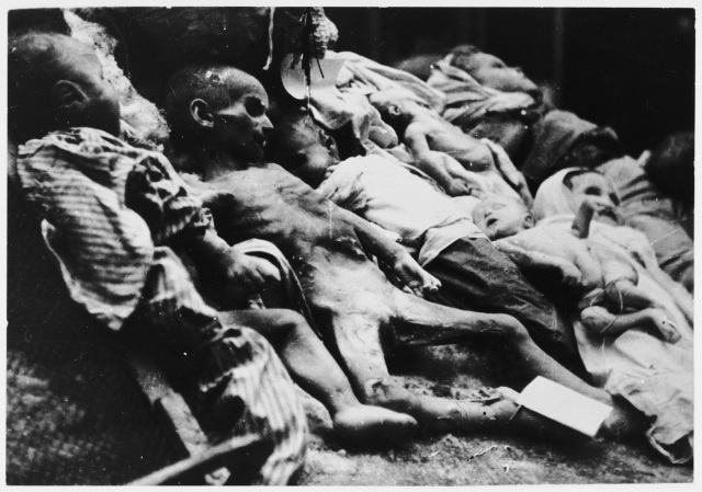 Murdered Emaciated Children